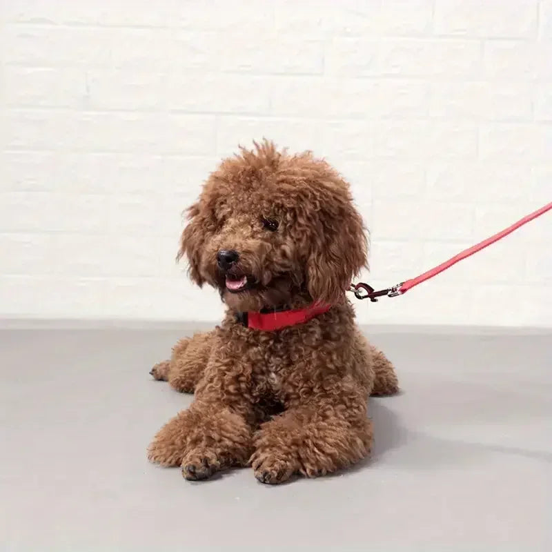 Light Up LED Dog Collar – Glowing Safety Collar for Night Walking | Adjustable Flashing Pet Collar for Small, Medium & Large Dogs