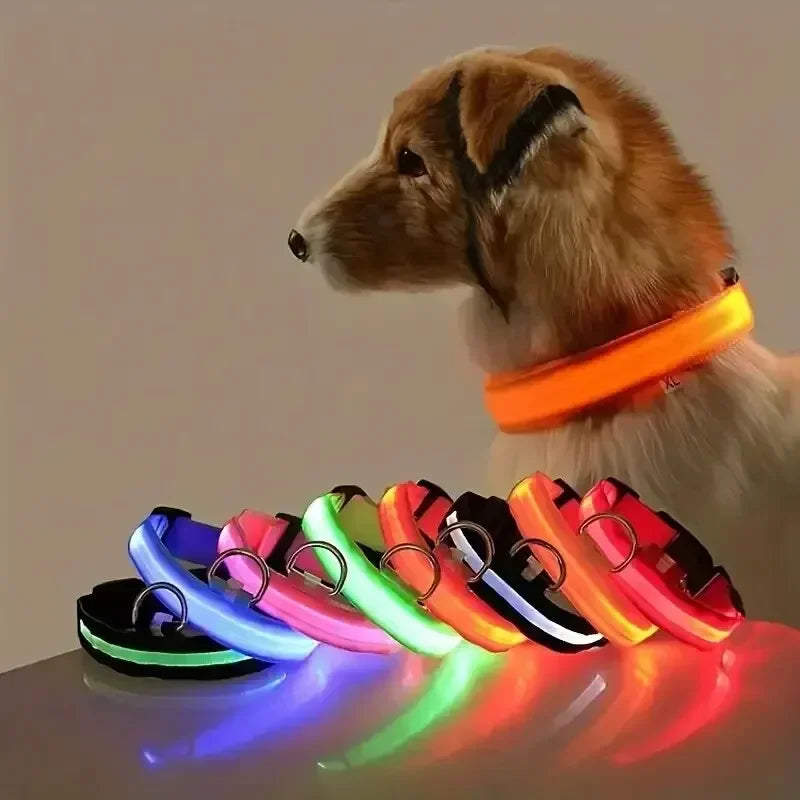Light Up LED Dog Collar – Glowing Safety Collar for Night Walking | Adjustable Flashing Pet Collar for Small, Medium & Large Dogs