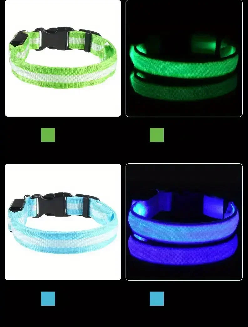 Light Up LED Dog Collar – Glowing Safety Collar for Night Walking | Adjustable Flashing Pet Collar for Small, Medium & Large Dogs