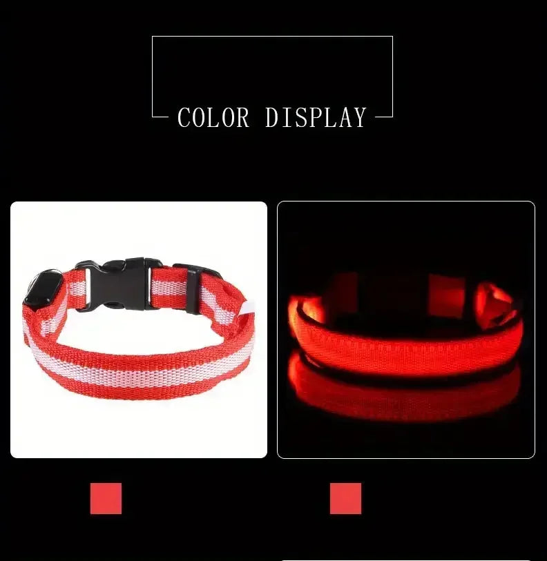 Light Up LED Dog Collar – Glowing Safety Collar for Night Walking | Adjustable Flashing Pet Collar for Small, Medium & Large Dogs