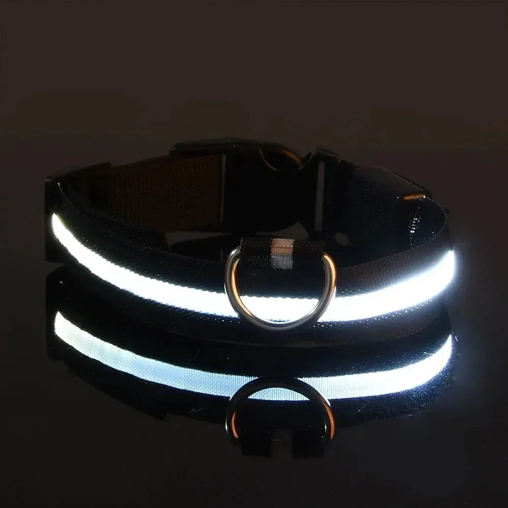 Light Up LED Dog Collar – Glowing Safety Collar for Night Walking | Adjustable Flashing Pet Collar for Small, Medium & Large Dogs