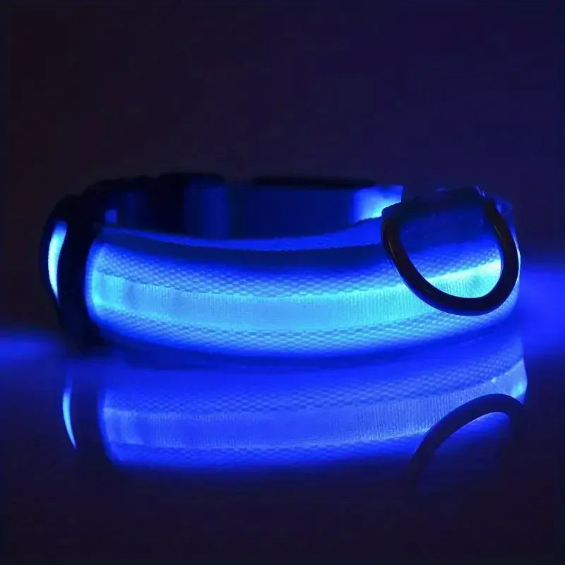 Light Up LED Dog Collar – Glowing Safety Collar for Night Walking | Adjustable Flashing Pet Collar for Small, Medium & Large Dogs