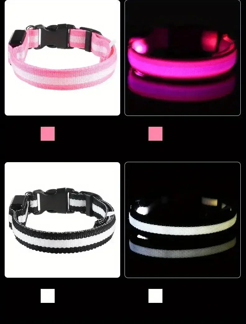Light Up LED Dog Collar – Glowing Safety Collar for Night Walking | Adjustable Flashing Pet Collar for Small, Medium & Large Dogs