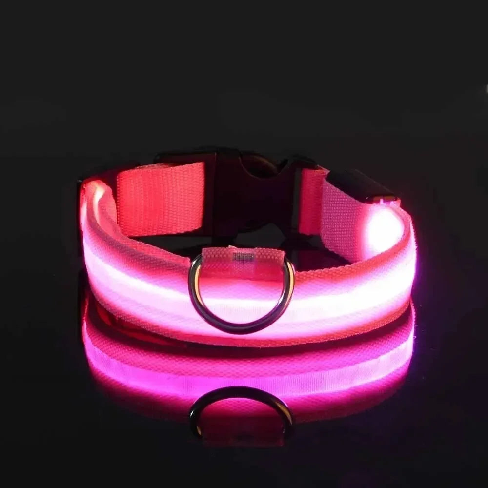 Light Up LED Dog Collar – Glowing Safety Collar for Night Walking | Adjustable Flashing Pet Collar for Small, Medium & Large Dogs