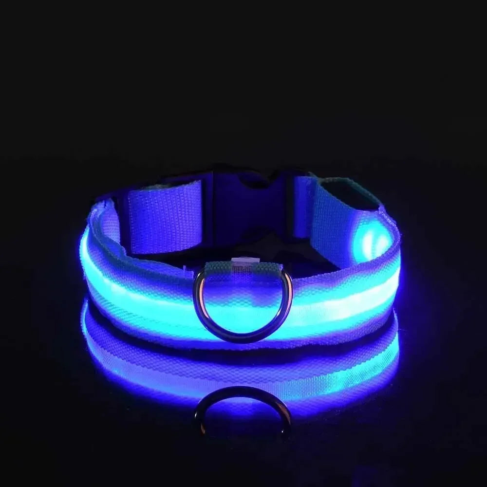 Light Up LED Dog Collar – Glowing Safety Collar for Night Walking | Adjustable Flashing Pet Collar for Small, Medium & Large Dogs