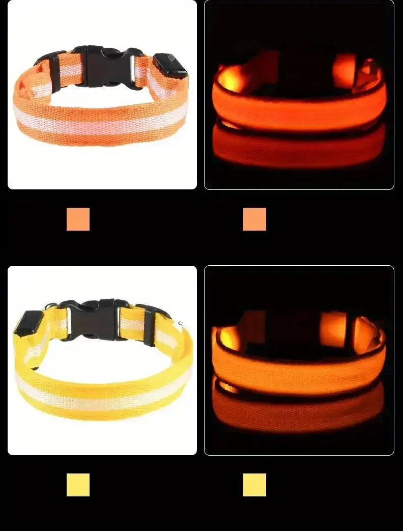 Light Up LED Dog Collar – Glowing Safety Collar for Night Walking | Adjustable Flashing Pet Collar for Small, Medium & Large Dogs