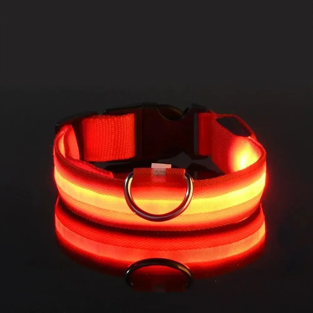 Light Up LED Dog Collar – Glowing Safety Collar for Night Walking | Adjustable Flashing Pet Collar for Small, Medium & Large Dogs